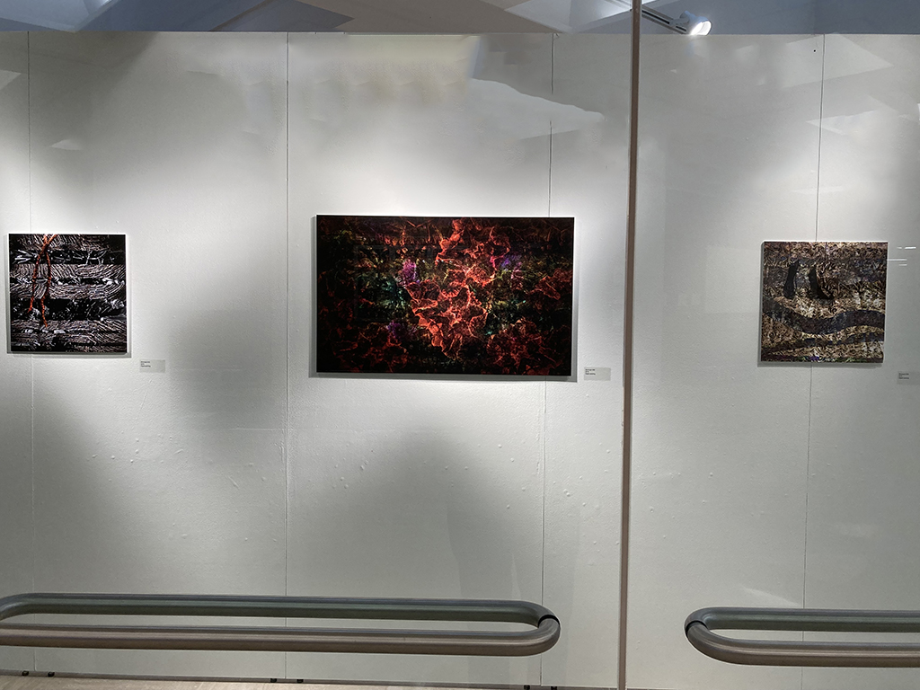 front window of exhbibition 3 digital paintings